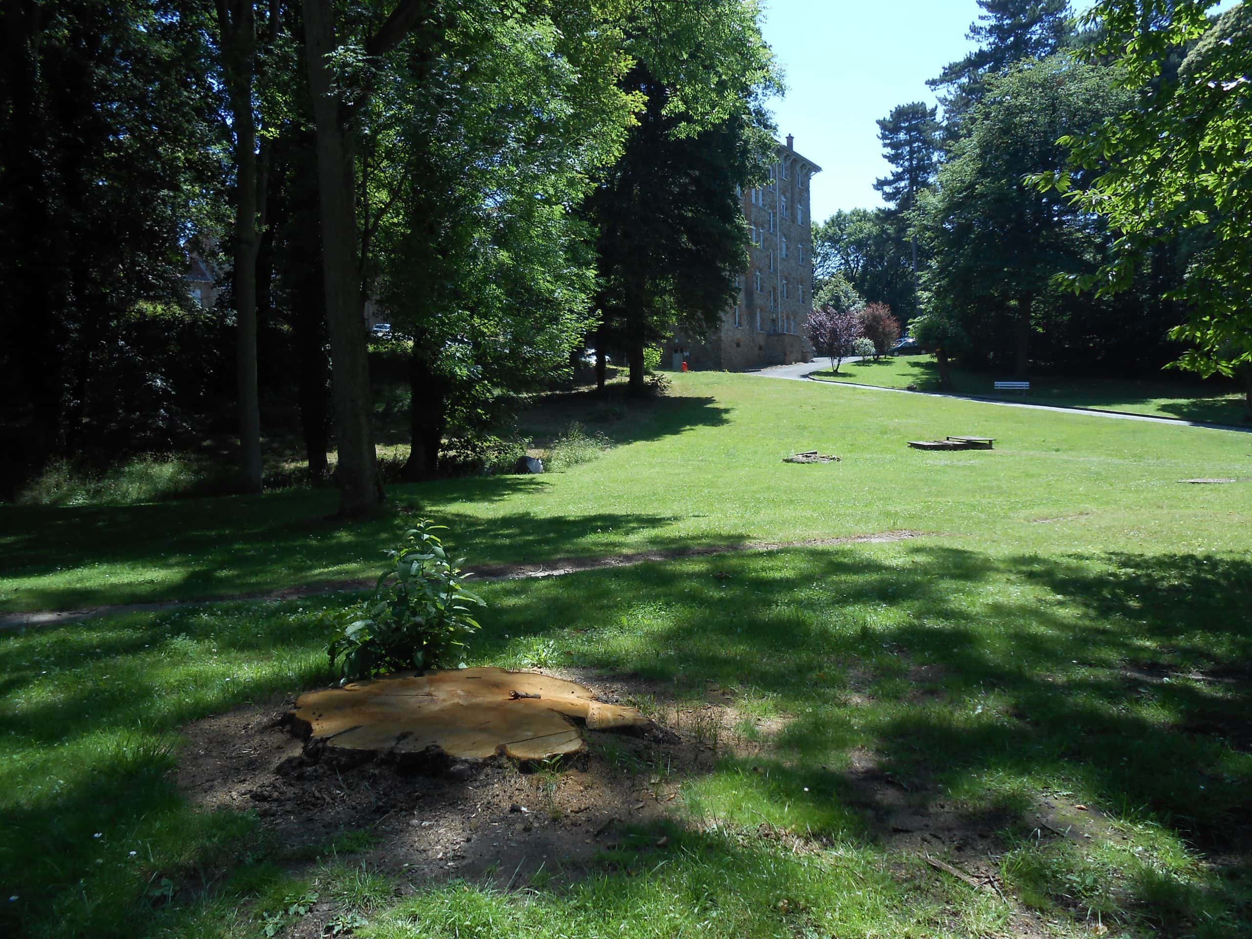 Jardin du bâtiment Petit Fontainebleau à Bligny