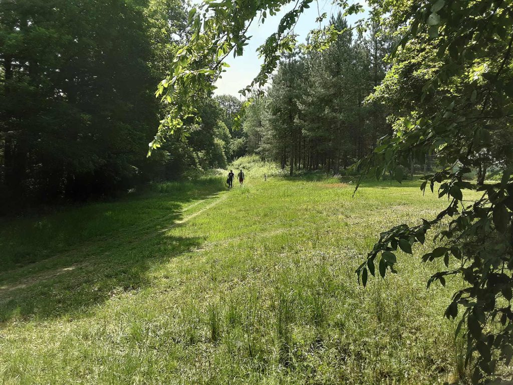 Parc nature à bligny
