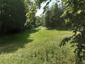 Parc nature à bligny