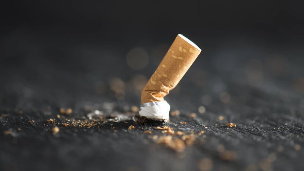 cigarette écrasée stop tabac