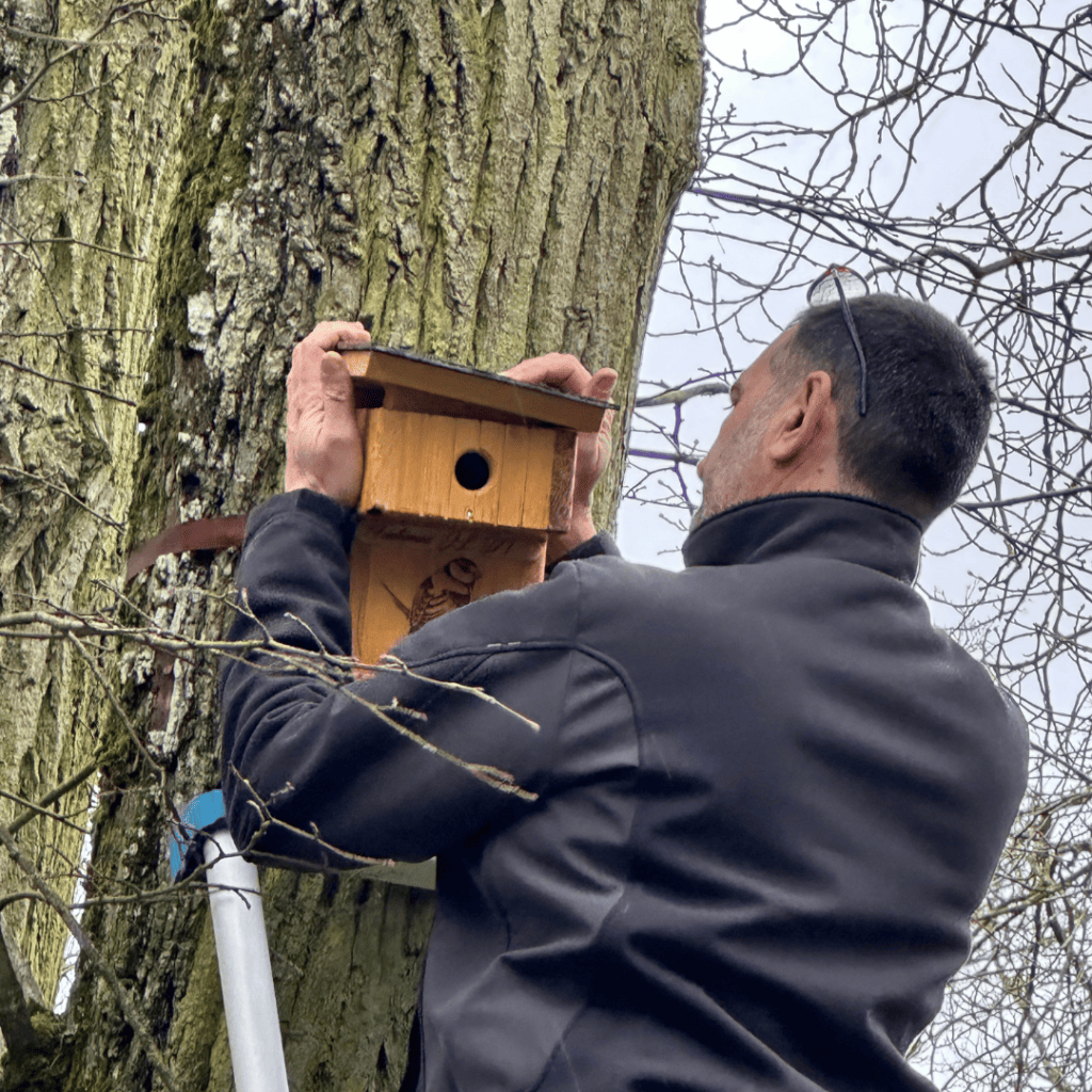 François huberdeau posant un des nichoirs à mésange du Parc de Bligny