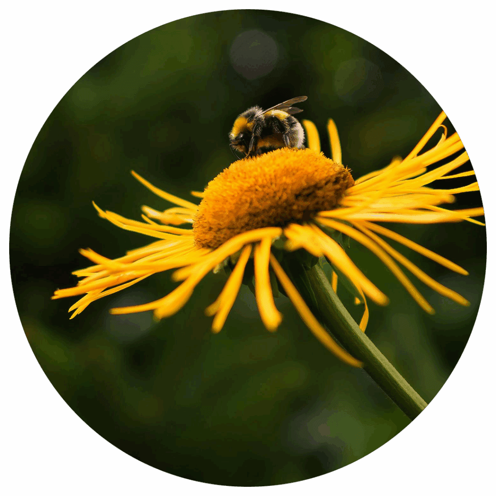 Faire un don 3 plan de travail 3 2