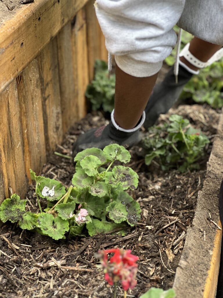 Un moment de partage autour du jardin des sens 5 img 4173