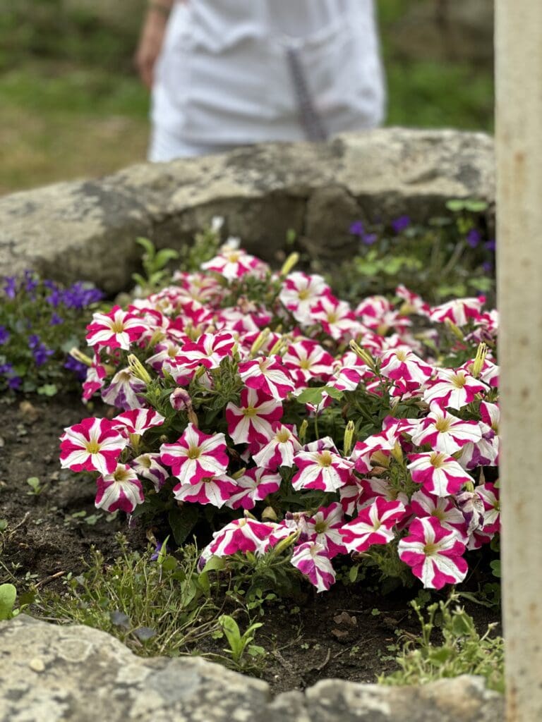Un moment de partage autour du jardin des sens 2 img 4179