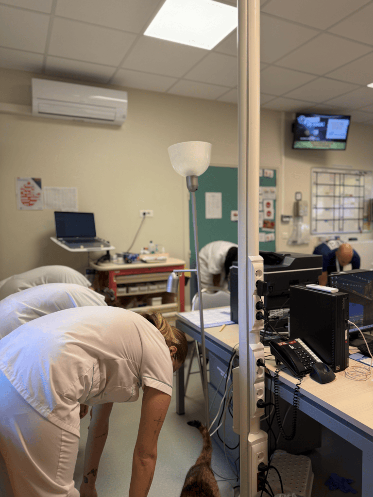 La Maison Sport-Santé au plus près des professionnels de Bligny 3 img 8987 2